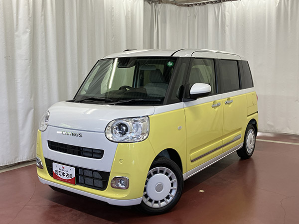 ムーヴキャンバス ストライプスG